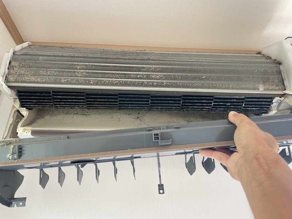 専用】おそうじ本舗 ハウスクリーニング プレミアムカード